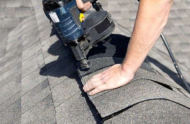 Best Skylight Installation and Repair  in Holden, MO
